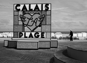 Lutte contre les nuisibles Calais
